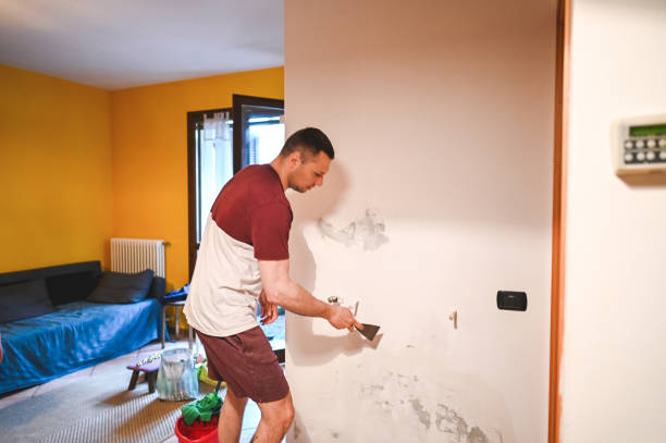 Best Post-Flood Mold Remediation in Loxley, AL